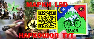 гидропоника Кулебаки